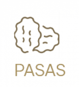 Pasas