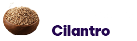 Semillas CILANTRO 1